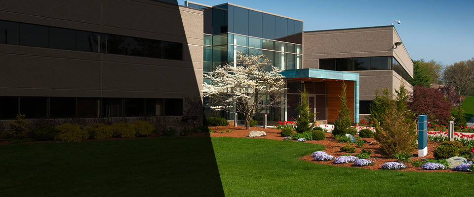 East Walpole Landscapers