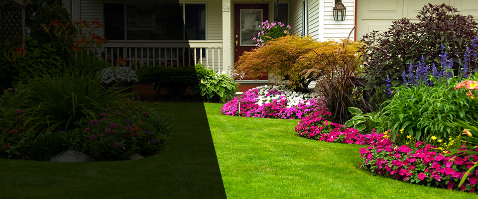 East Walpole Landscapers
