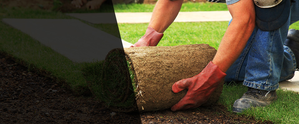 East Walpole Landscapers